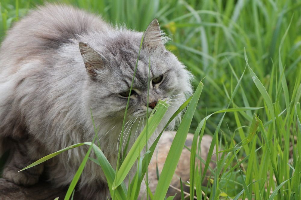 Photograph by Елена Терскова