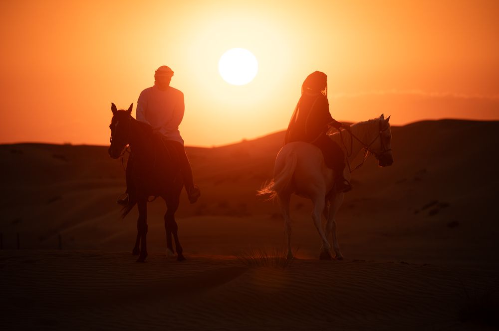 Фотография автора Kimia Shad