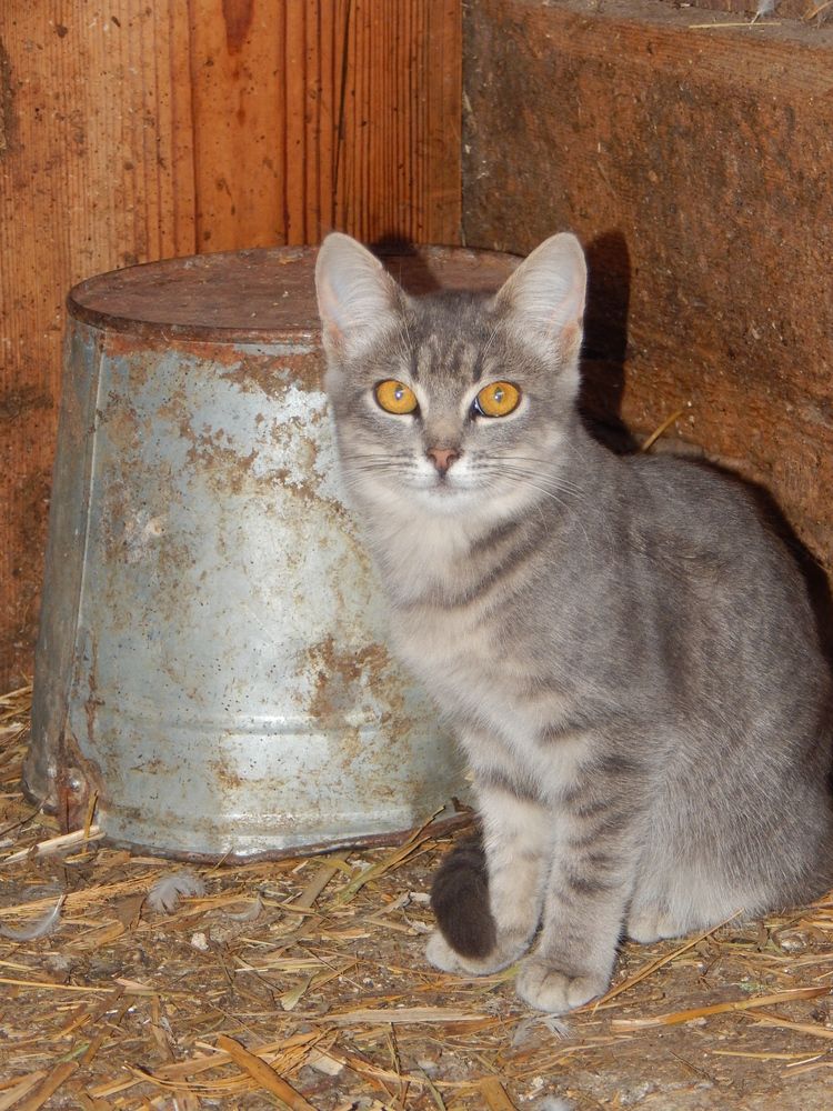 Photograph by Aлександра Чаплыгина