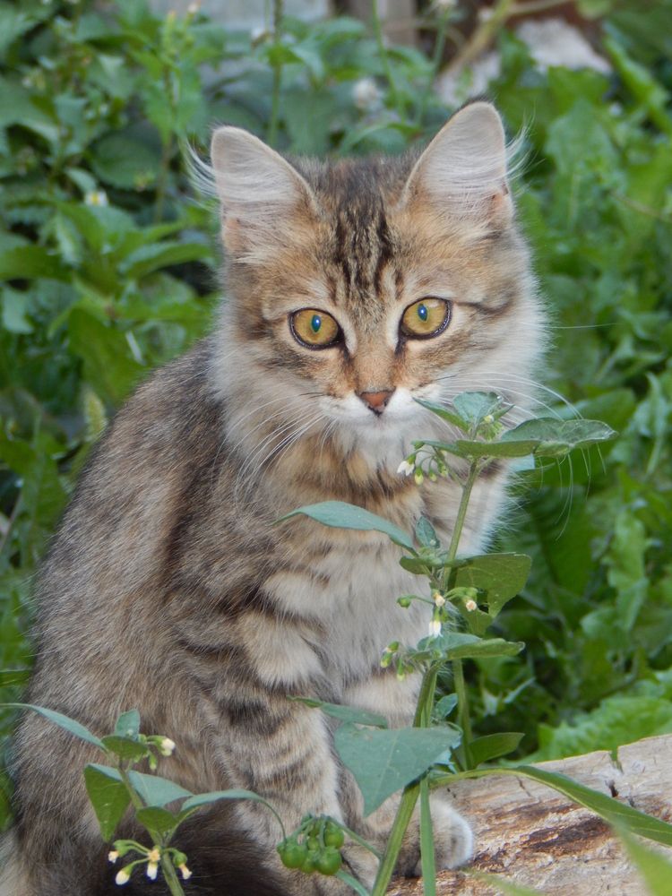 Photograph by Aлександра Чаплыгина