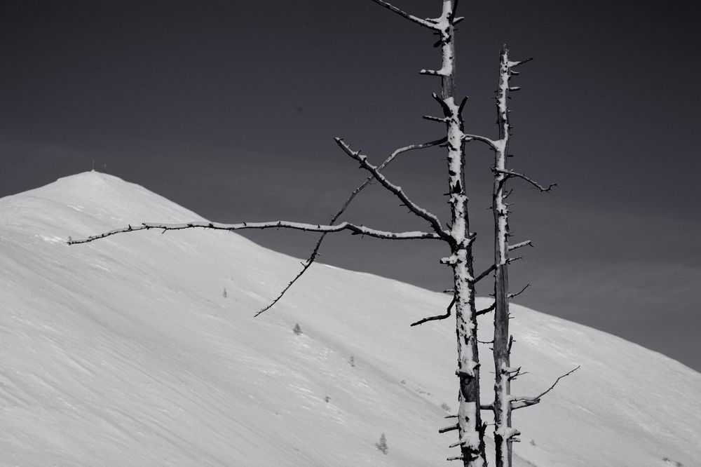 Photograph by Alexey Radysh