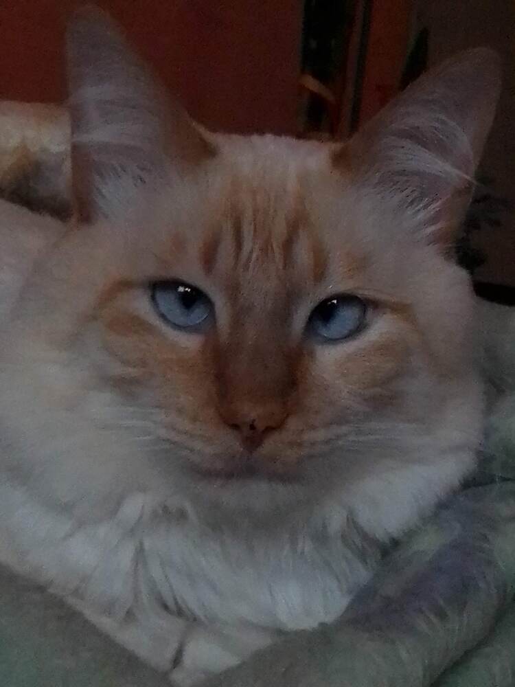 Photograph by gilberto de almeida rocha