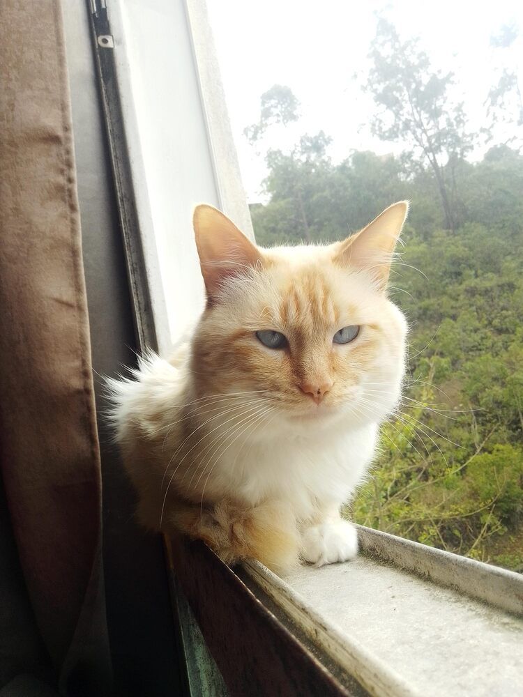 Photograph by gilberto de almeida rocha