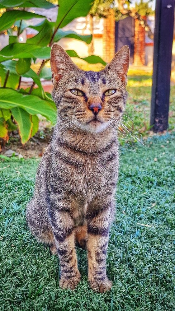 Photograph by Noemí Hornero Alonso