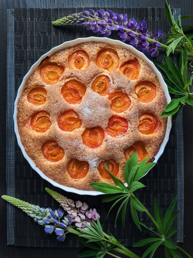 Photograph by Екатерина Чижевская