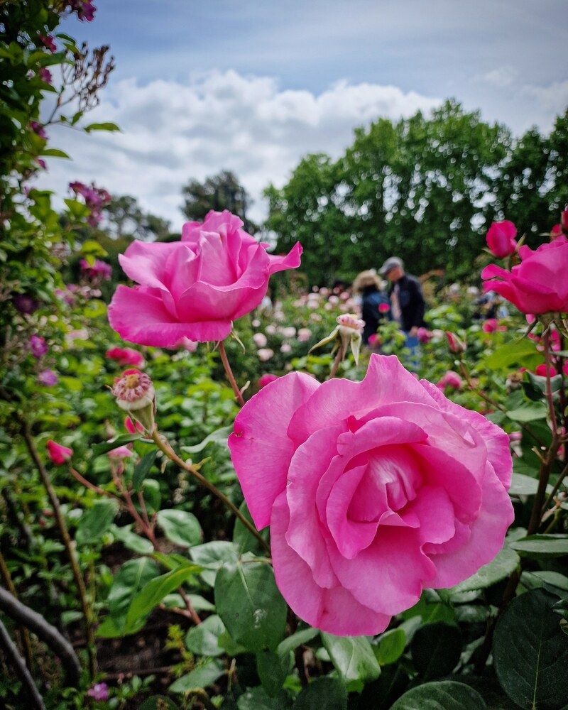 Photograph by Noemí Hornero Alonso