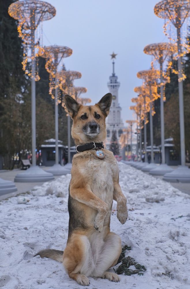 Photograph by Татьяна Глебова