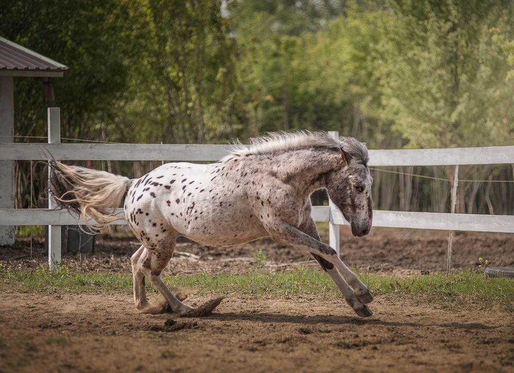 Фотография автора Юлия Григорьева