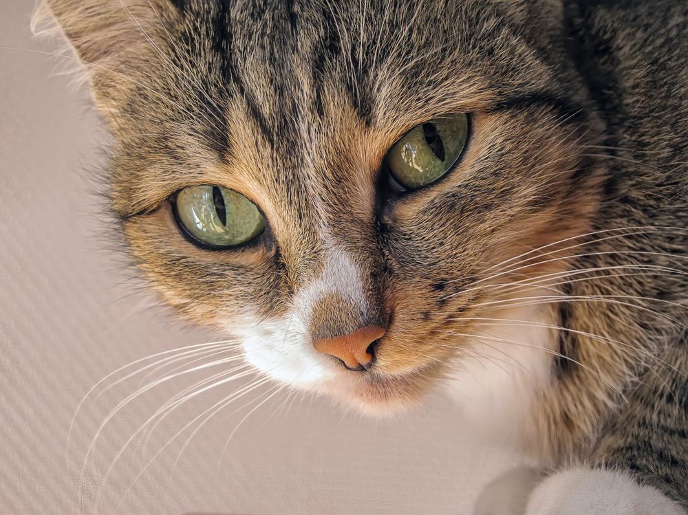 Фотография автора Вадим Серебреников