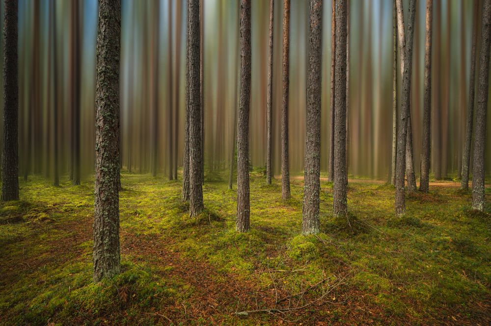 Photograph by Brouer Alexey