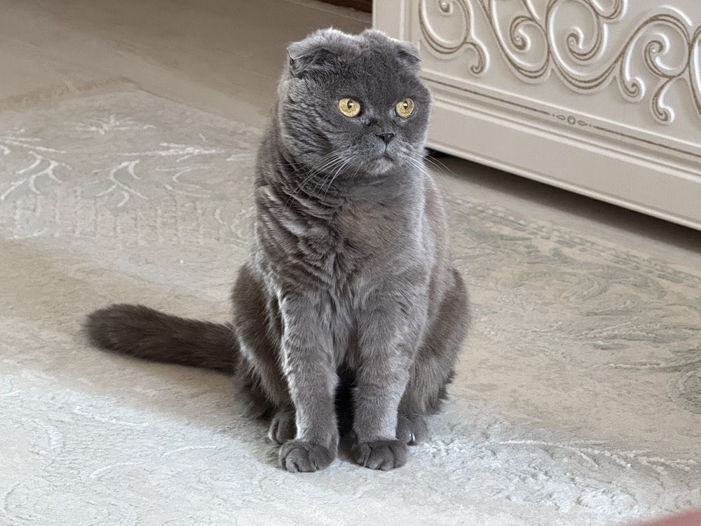 Photograph by Konstantin Kalmykov