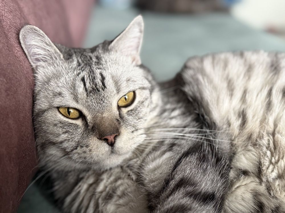 Photograph by Konstantin Kalmykov