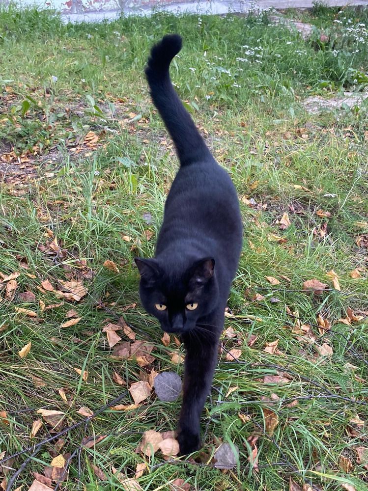 Photograph by Konstantin Kalmykov