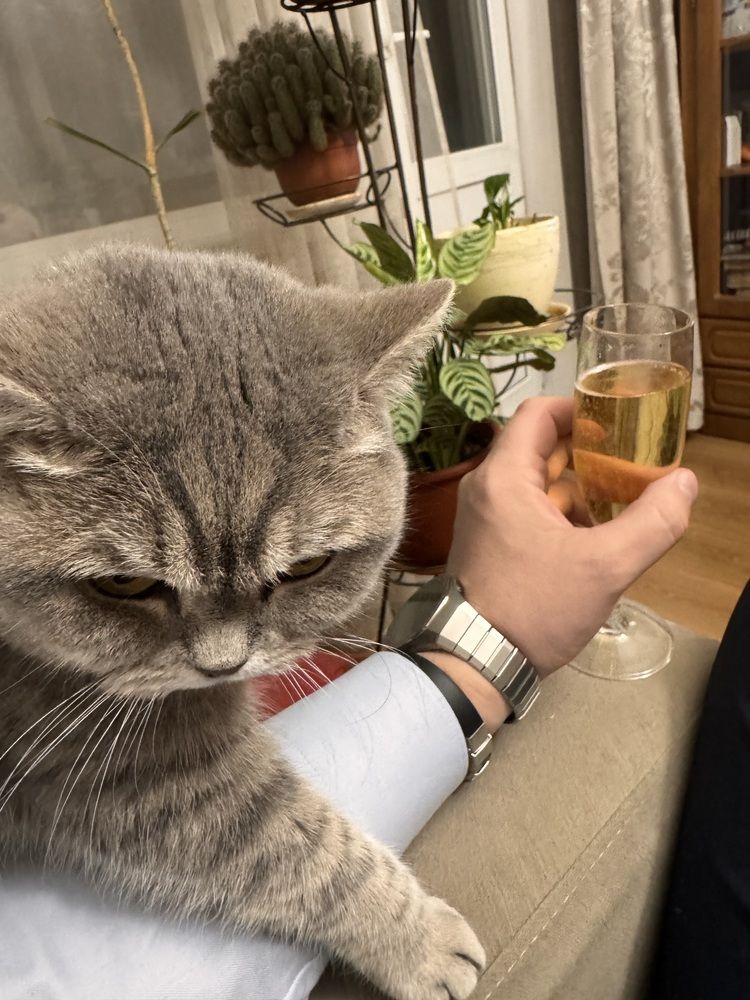 Фотография автора Злывко Владимир