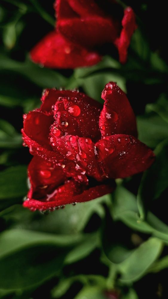 Photograph by Анна Семенова