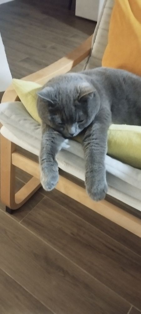 Photograph by Gülçin Çete