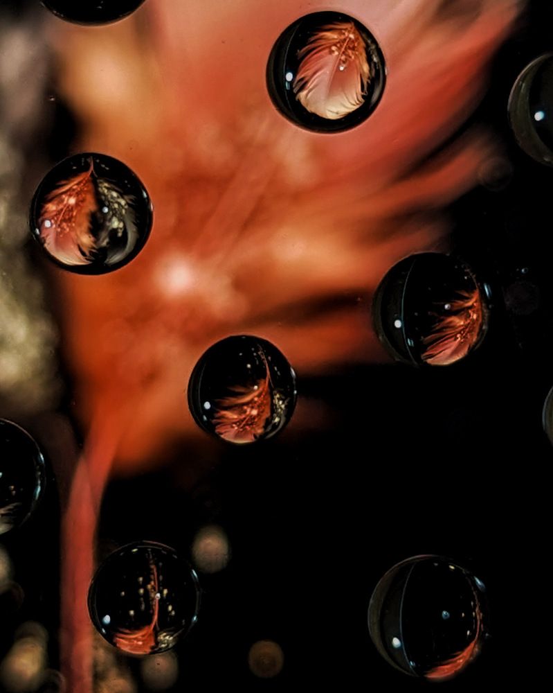 Photograph by Katsiaryna Sakhonchyk