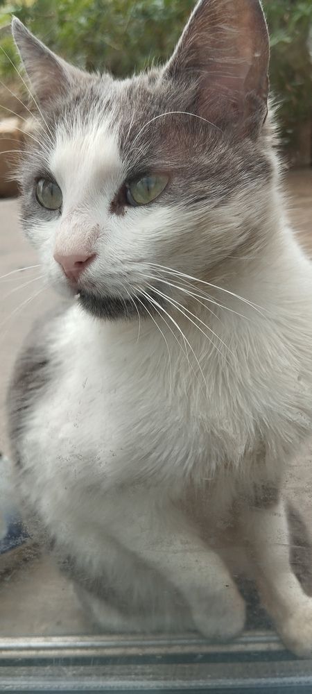 Photograph by Gülçin Çete