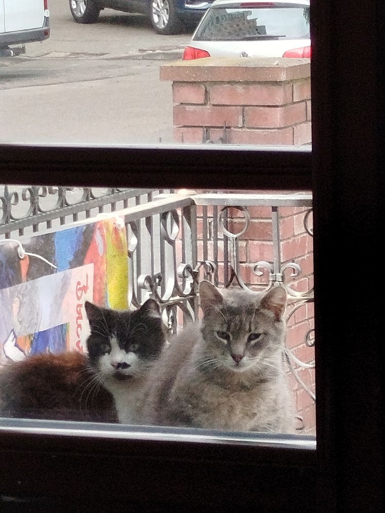 Photograph by Наталья Зяткина