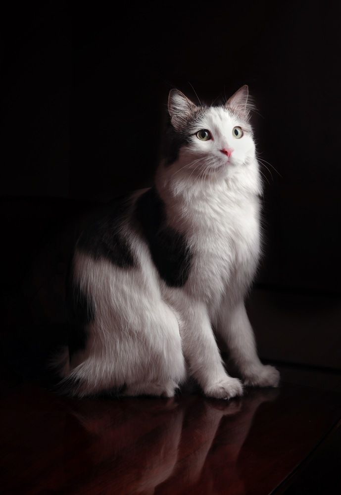 Photograph by Hamideh Jafari