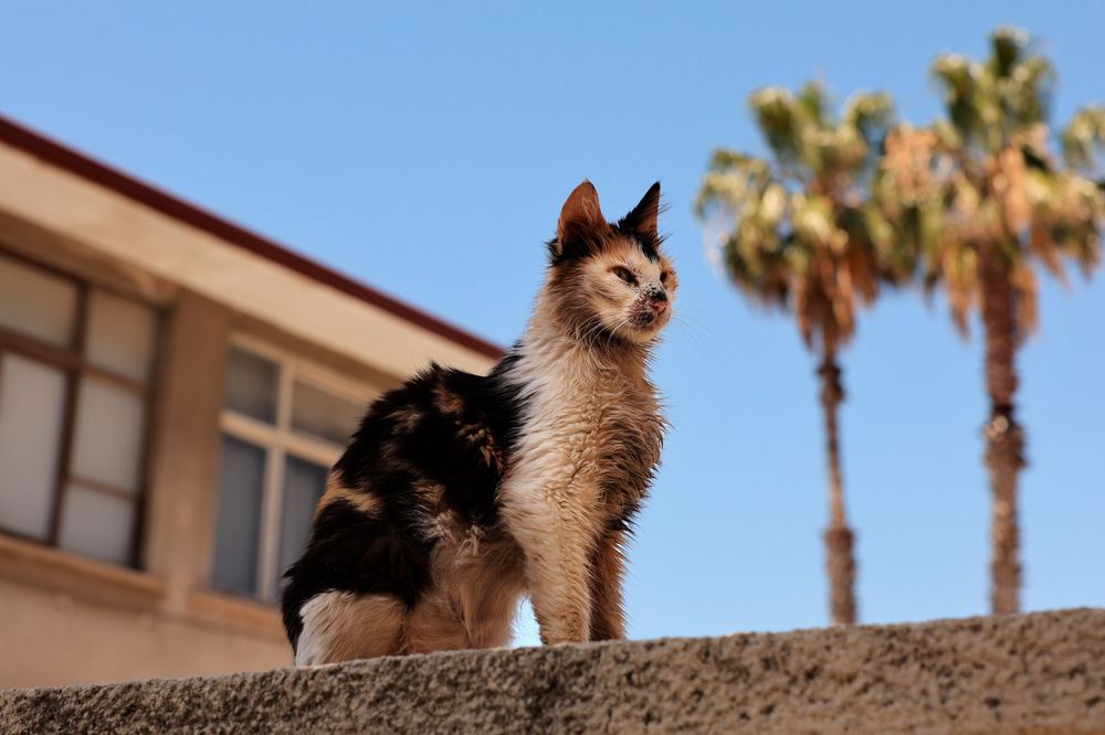 Photograph by Вячеслав Ват