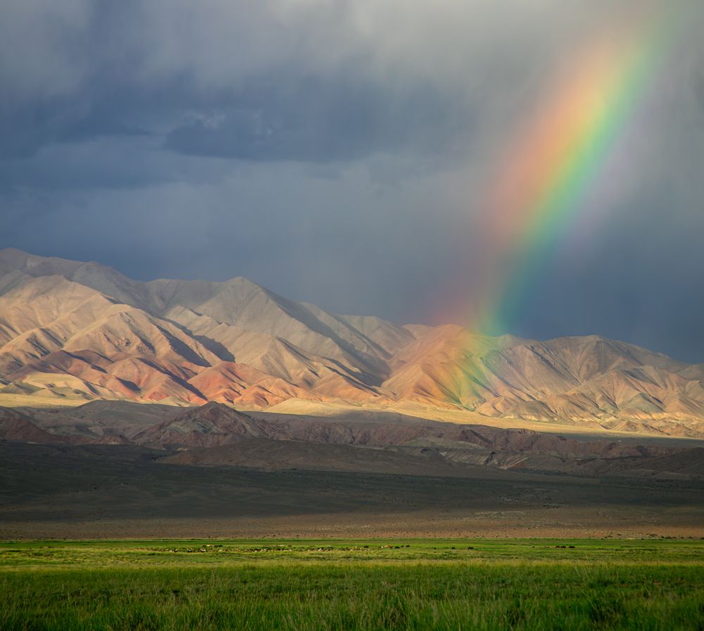 Photograph by Lkhagvasuren Darikhand