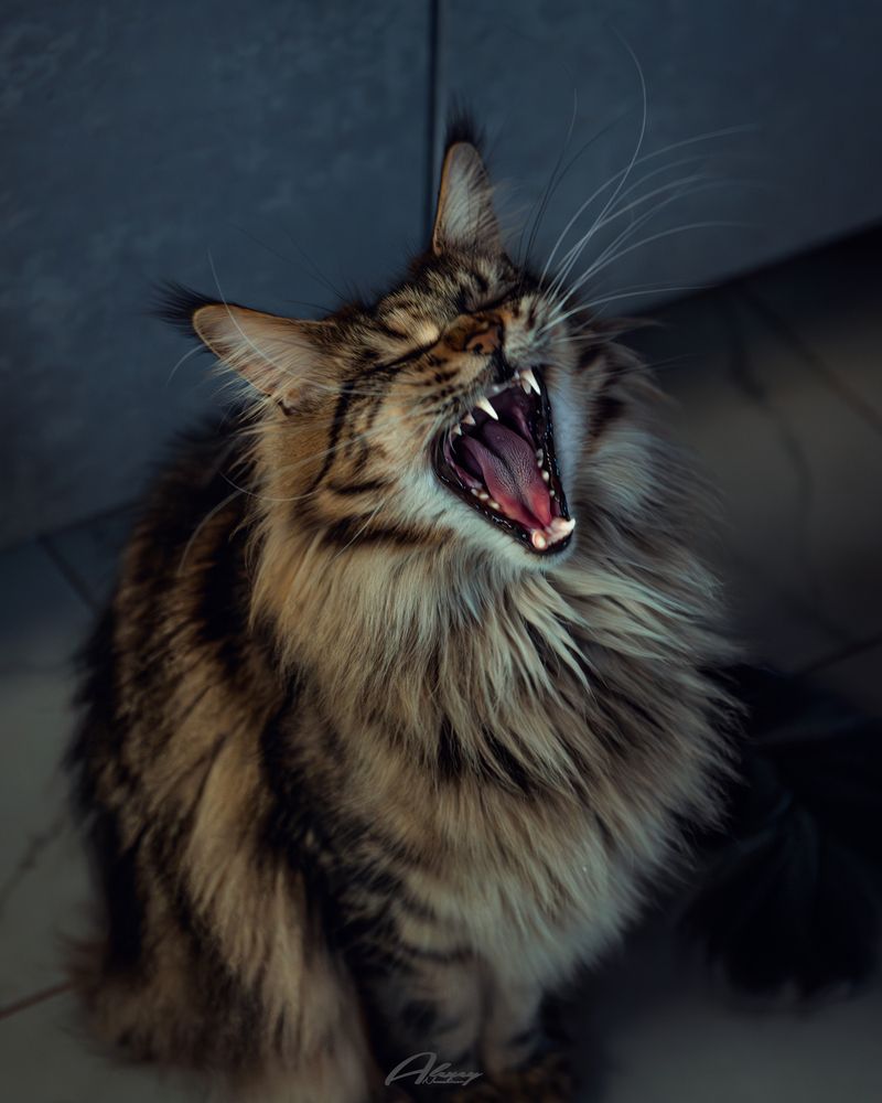 Photograph by Алексей Немчинов