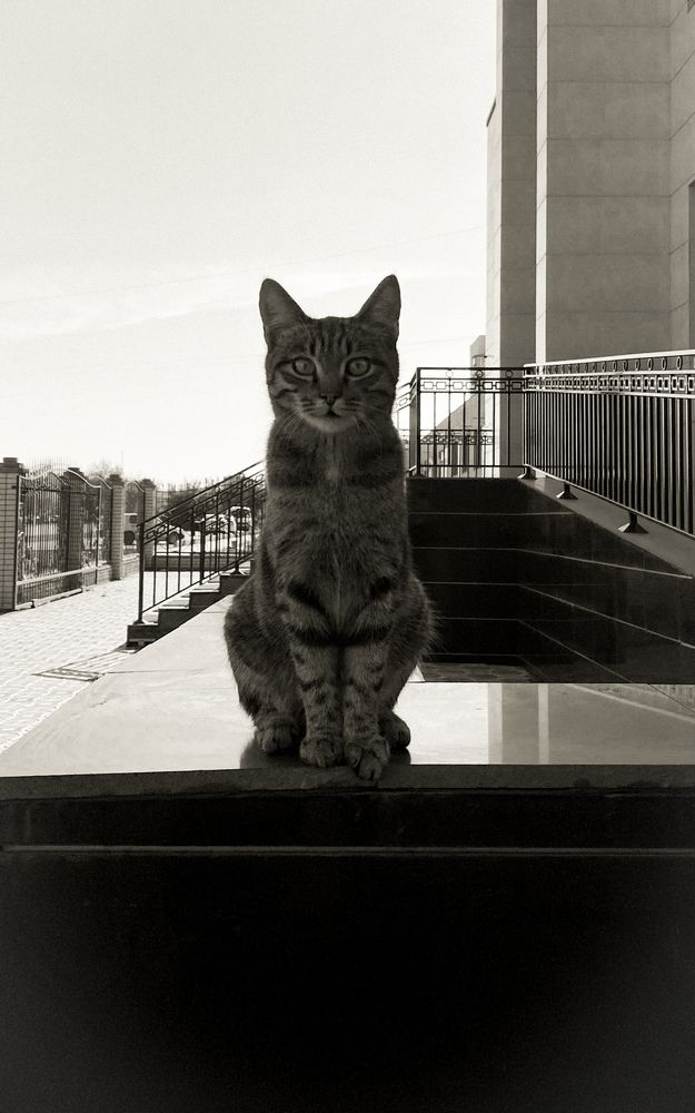 Photograph by Dina Din