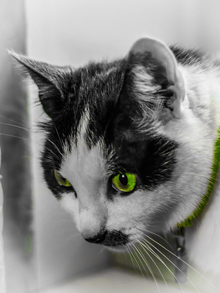 Photograph by Дмитрий Коновалов