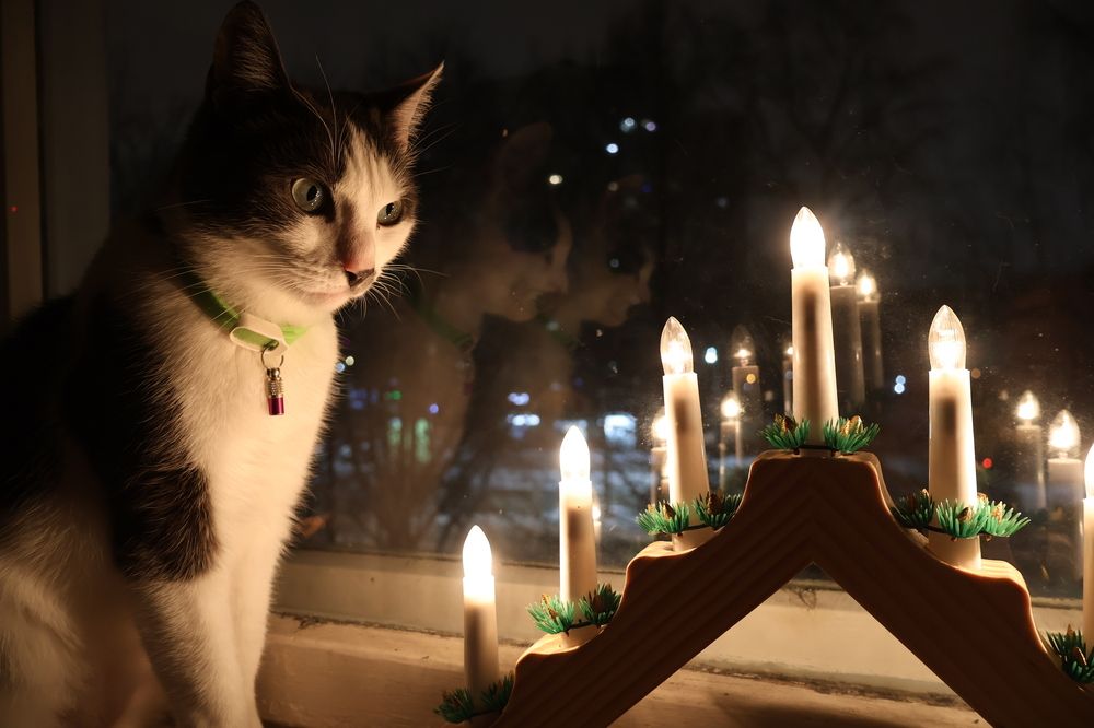 Photograph by Дмитрий Коновалов