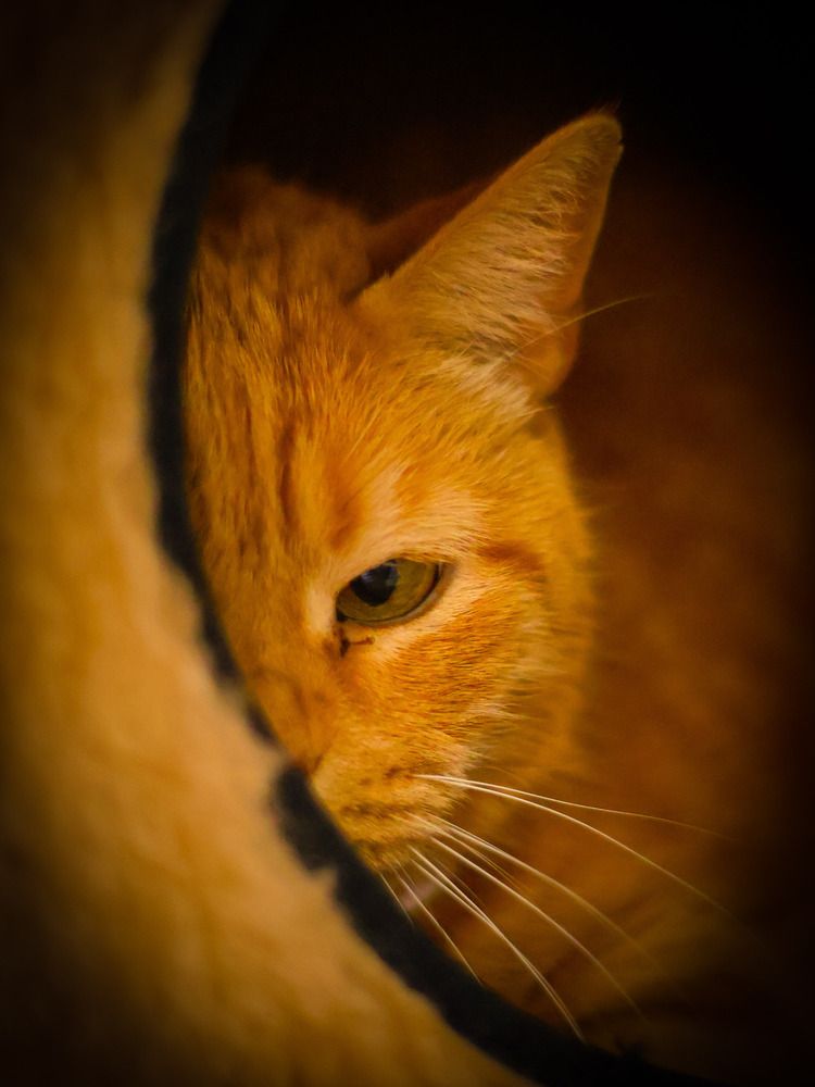 Photograph by Дмитрий Коновалов