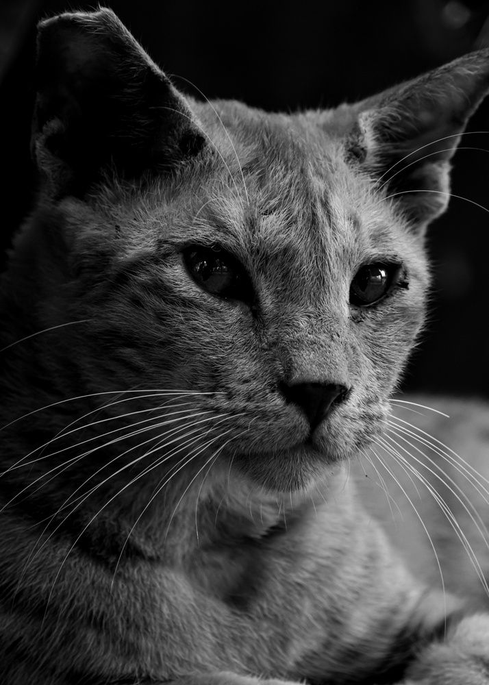 Photograph by Aadarsh choudhary