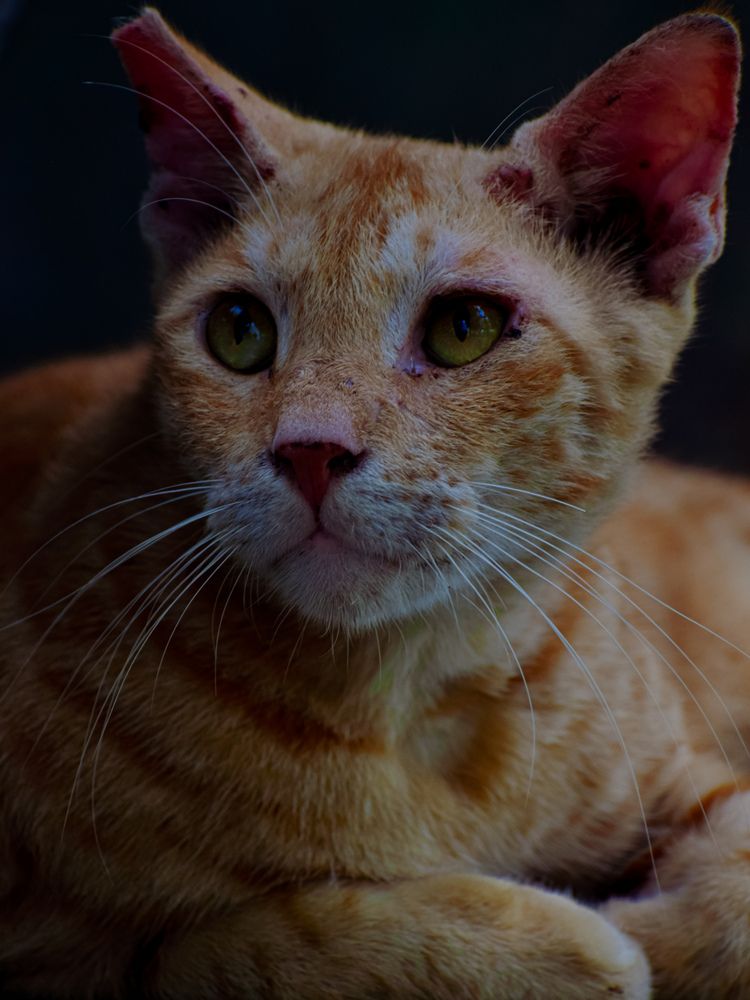 Photograph by Aadarsh choudhary