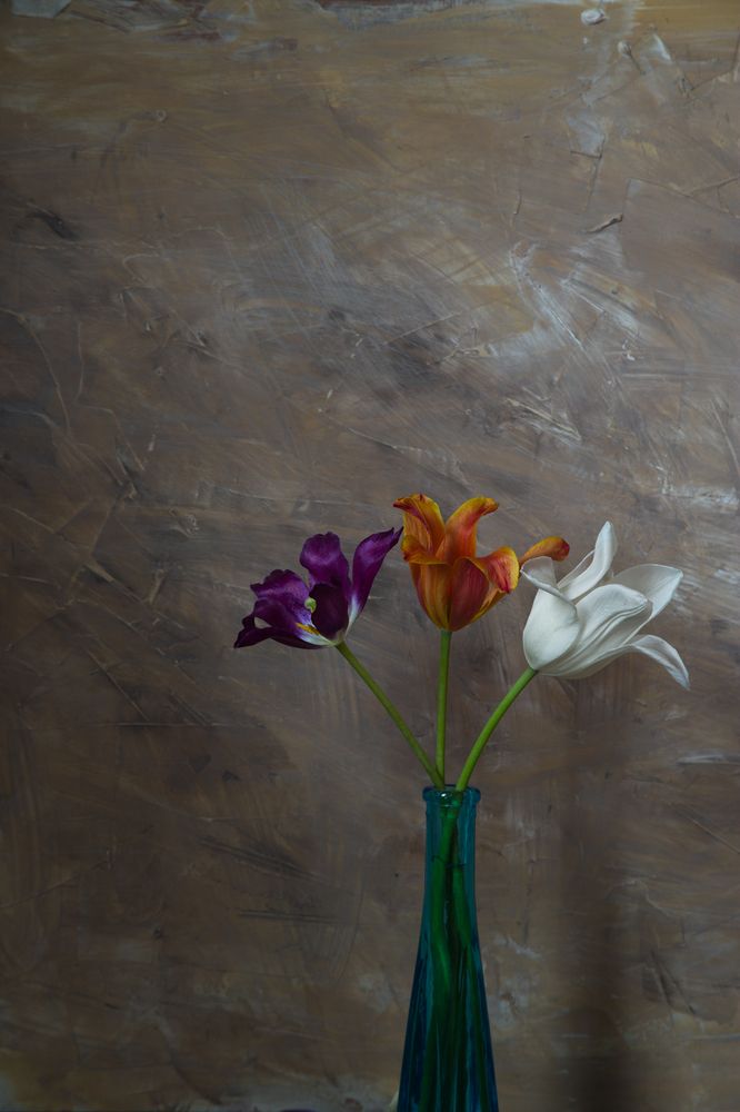 Photograph by Алексеев Сергей