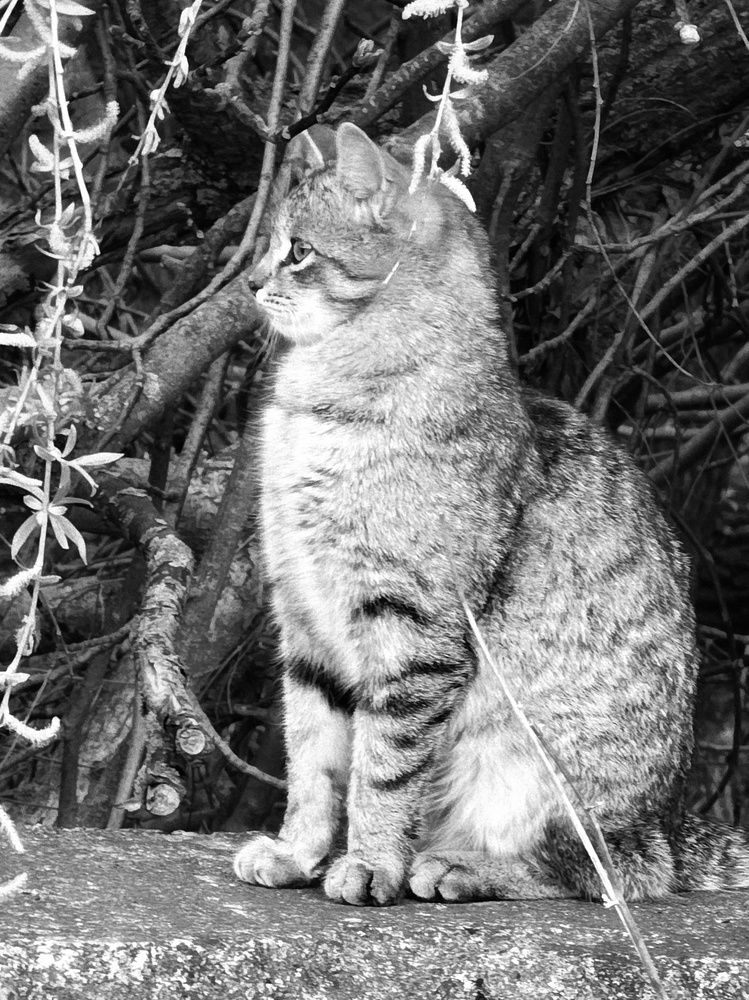 Photograph by Аня Белозерова