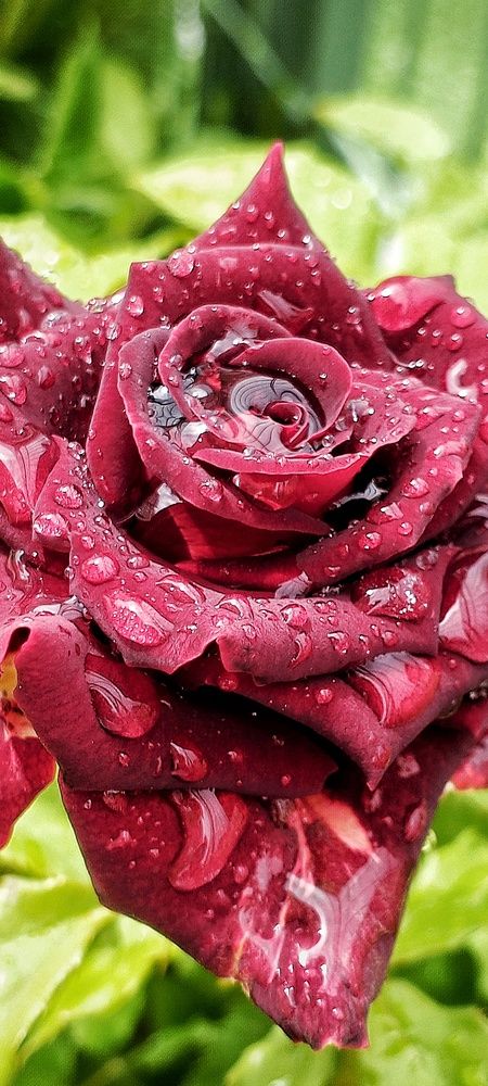 Photograph by Ольга Куцева