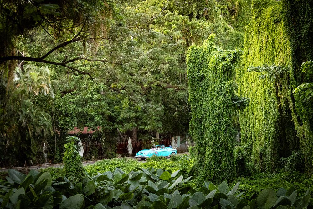 Photograph by Popiyakova Natalia