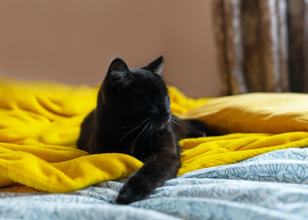 Photograph by Елена Гоосен