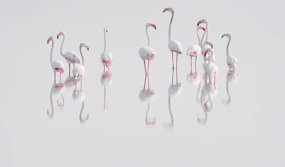 Photograph by Boris Bekelman