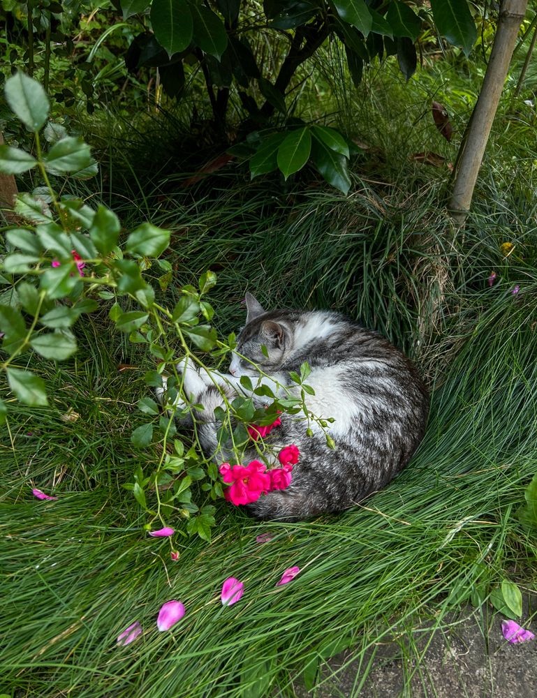 Photograph by Елена Гоосен