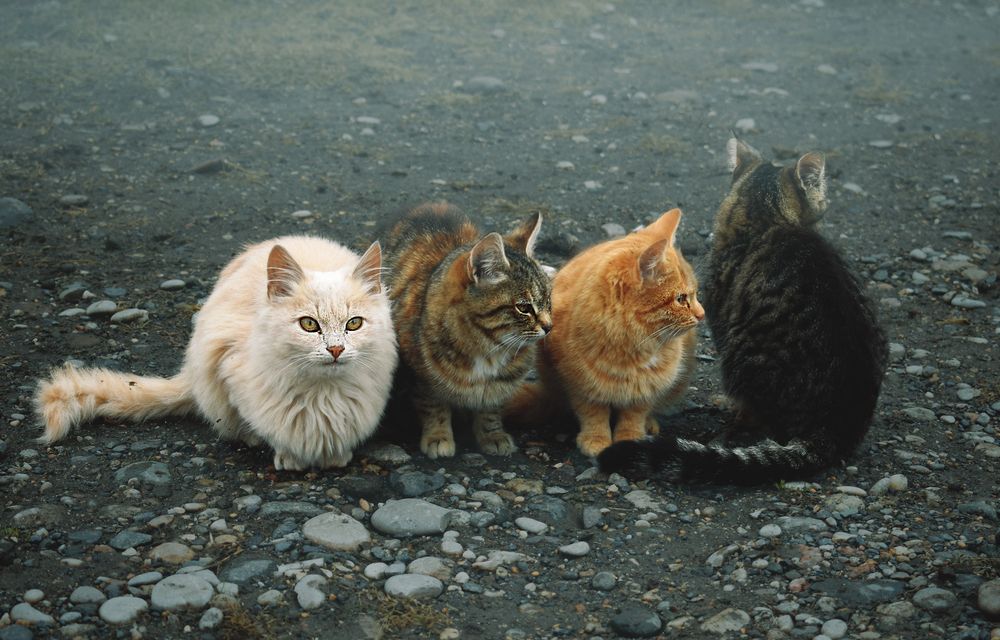 Photograph by Багриновская Наталия