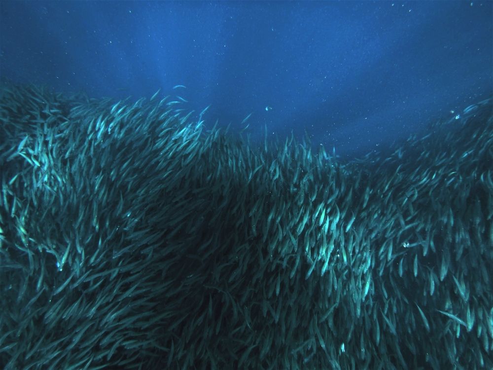 Photograph by Максимушкина Ольга