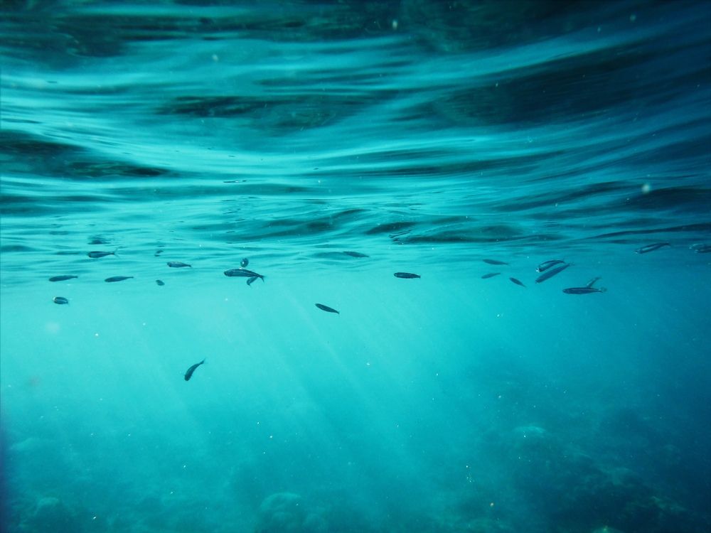 Photograph by Максимушкина Ольга