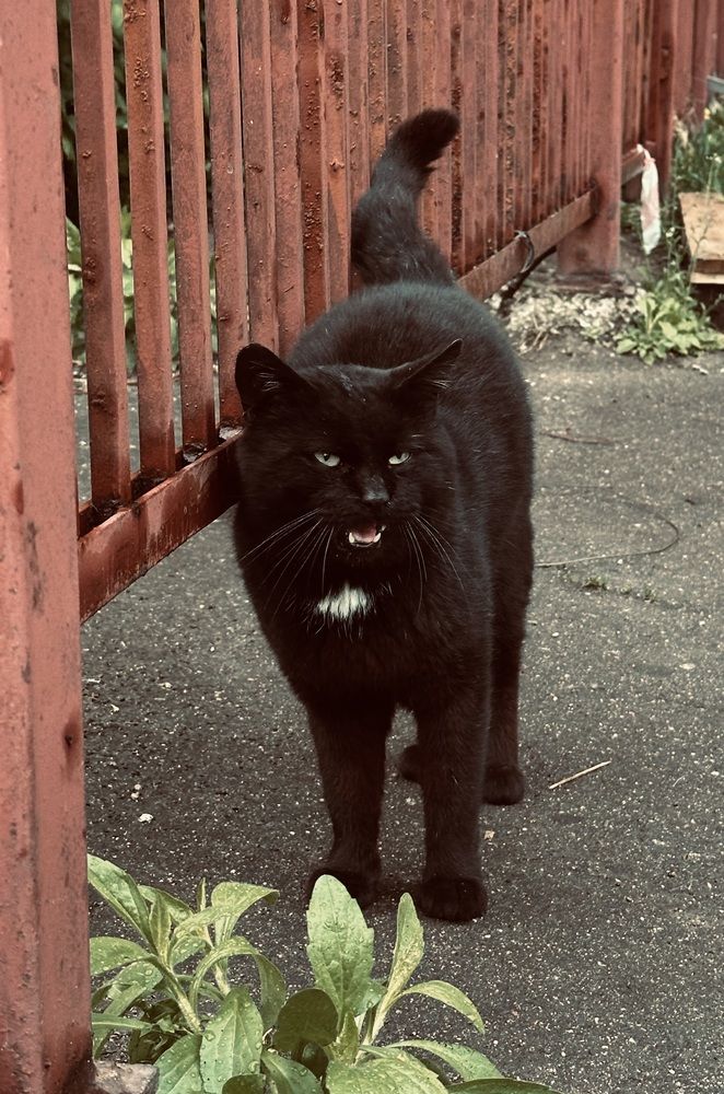 Photograph by Jekaterina Michejeva