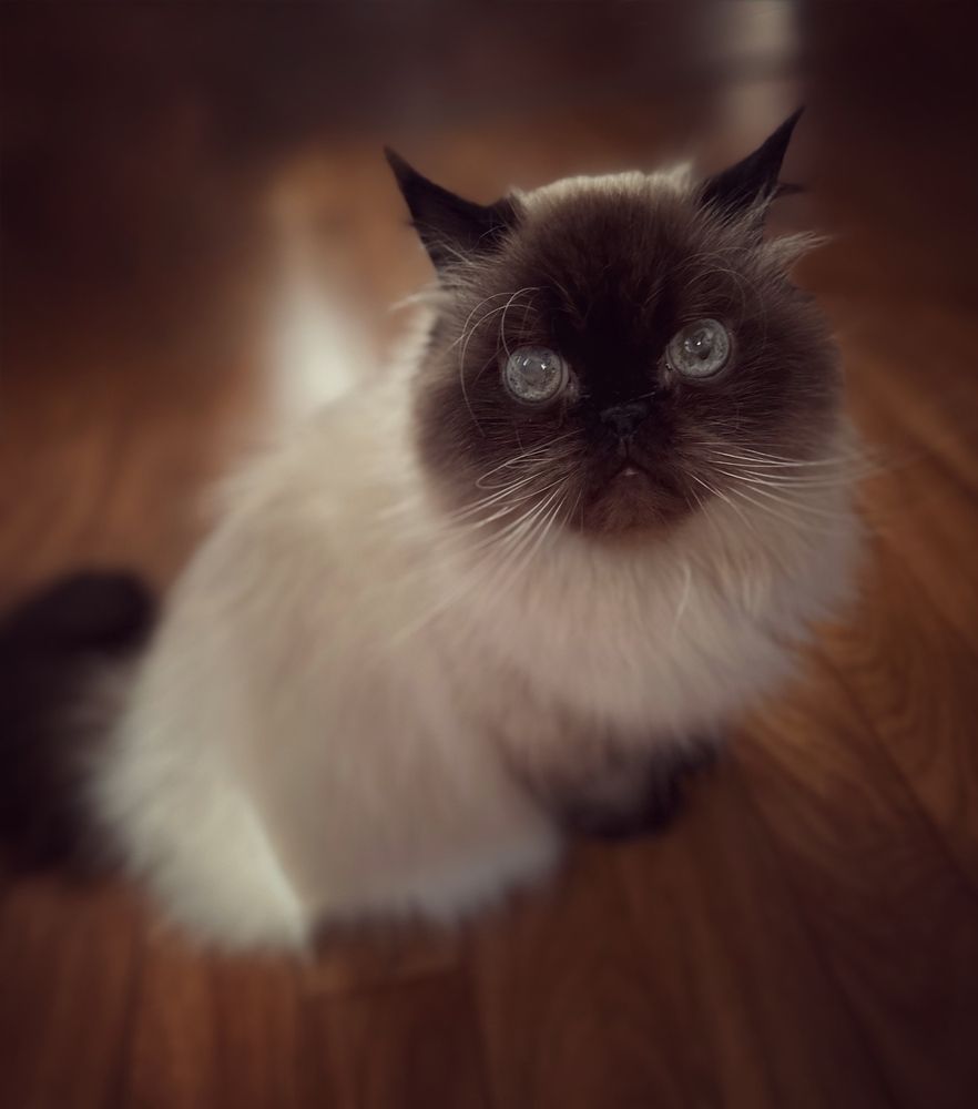 Photograph by Jekaterina Michejeva