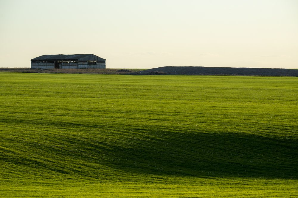 Старый сенник
