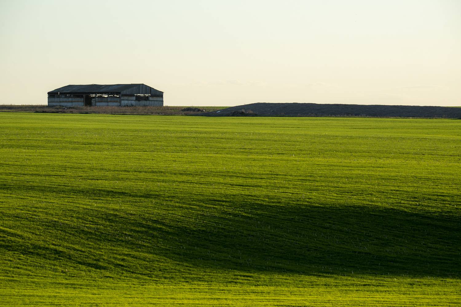 Старый сенник