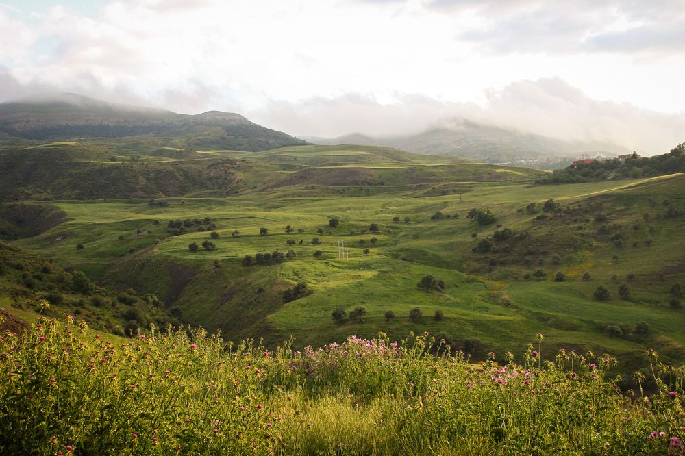 Photograph by Mouchira Chekhchoukh