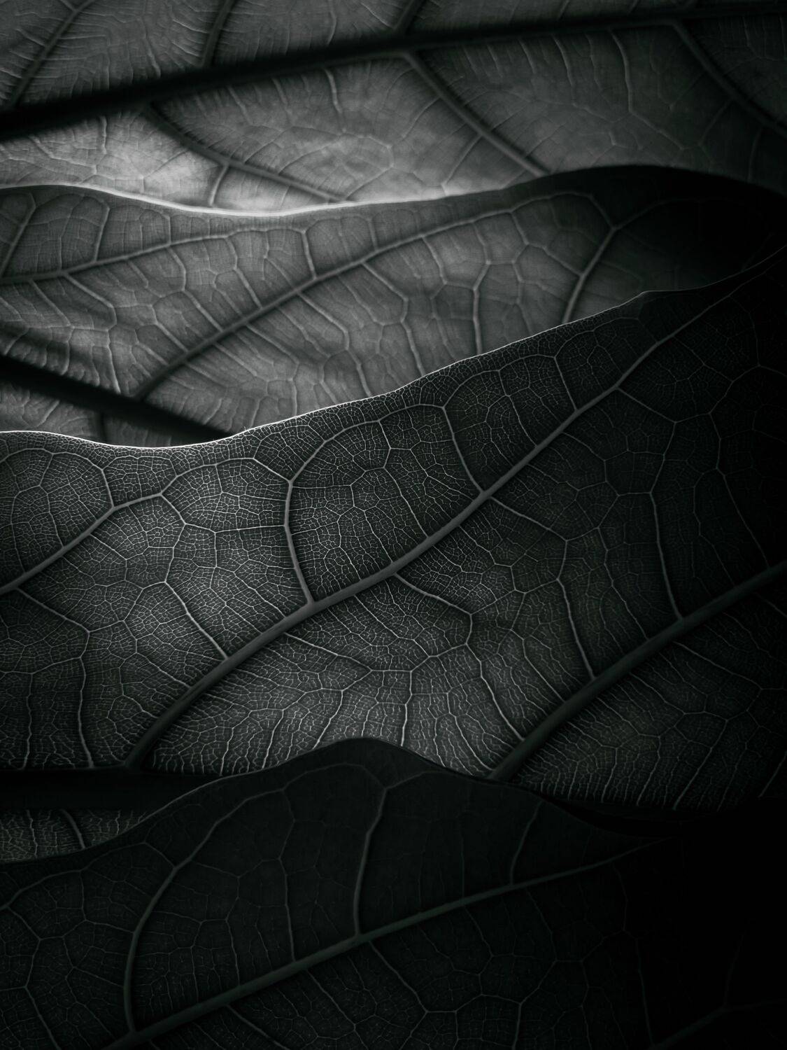 Фотография #12237769