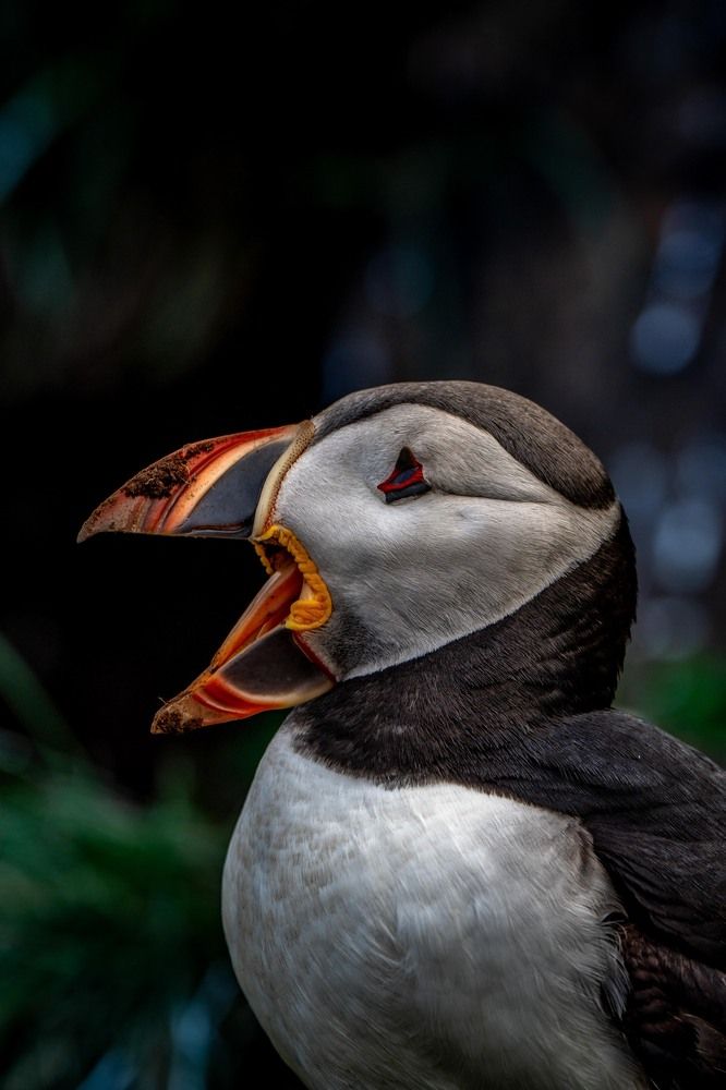 Photograph by Bjoern Hohler